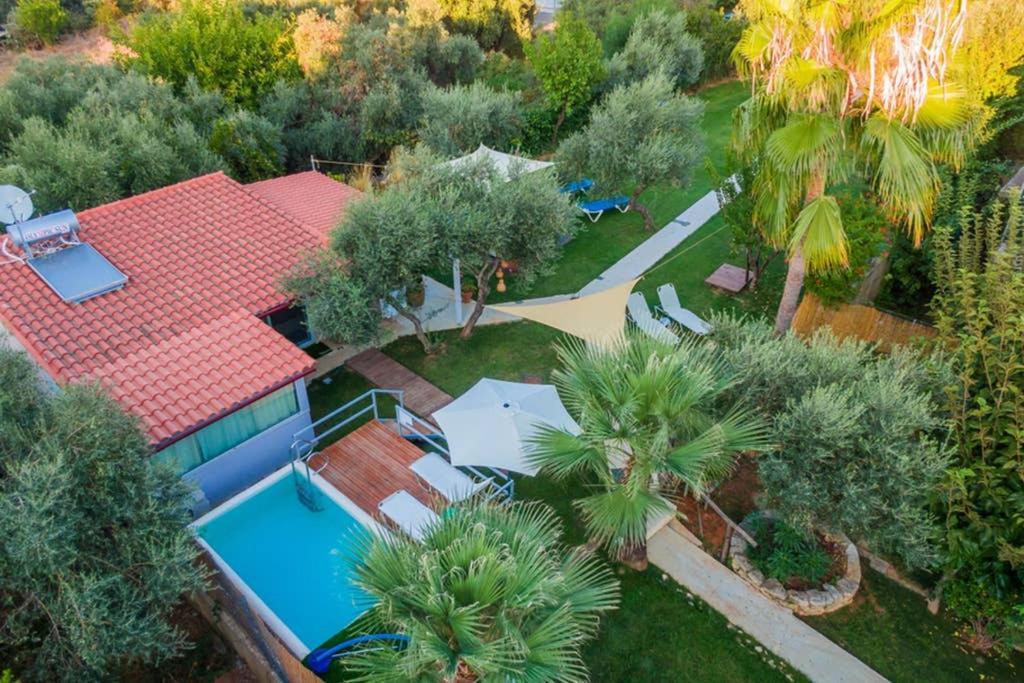Green House 1 Sfakianalion Dış mekan fotoğraf