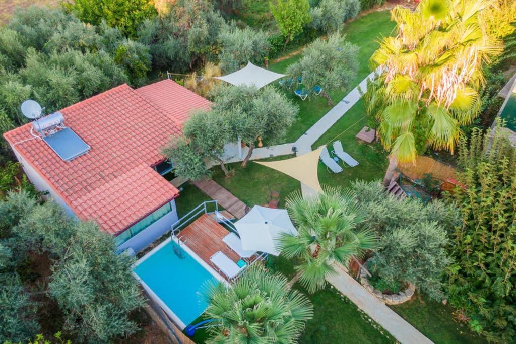 Green House 1 Sfakianalion Dış mekan fotoğraf
