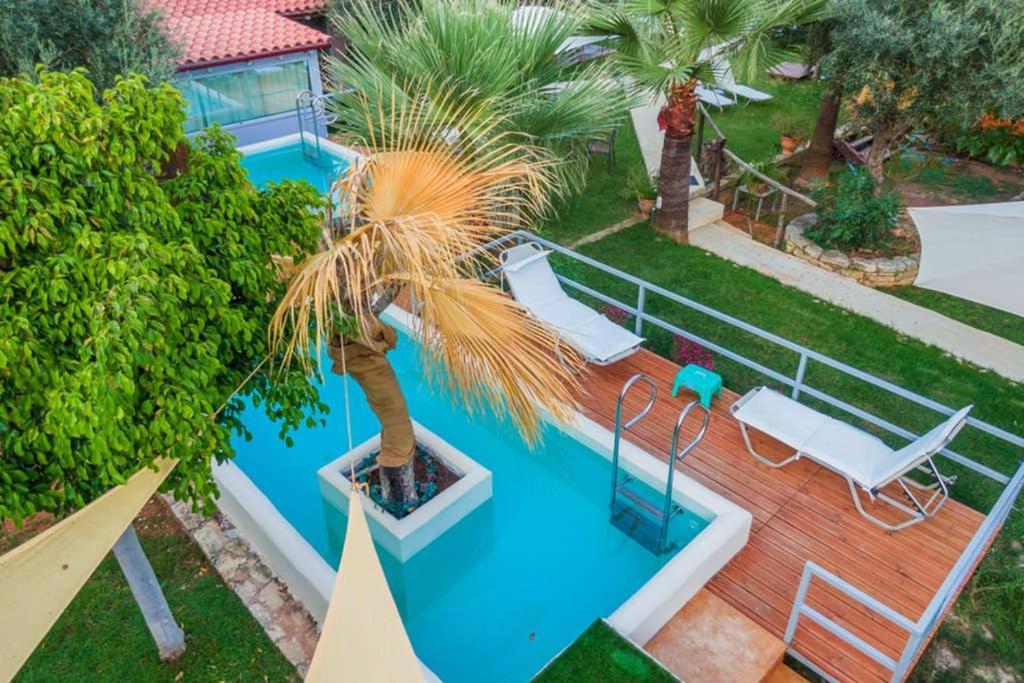 Green House 1 Sfakianalion Dış mekan fotoğraf