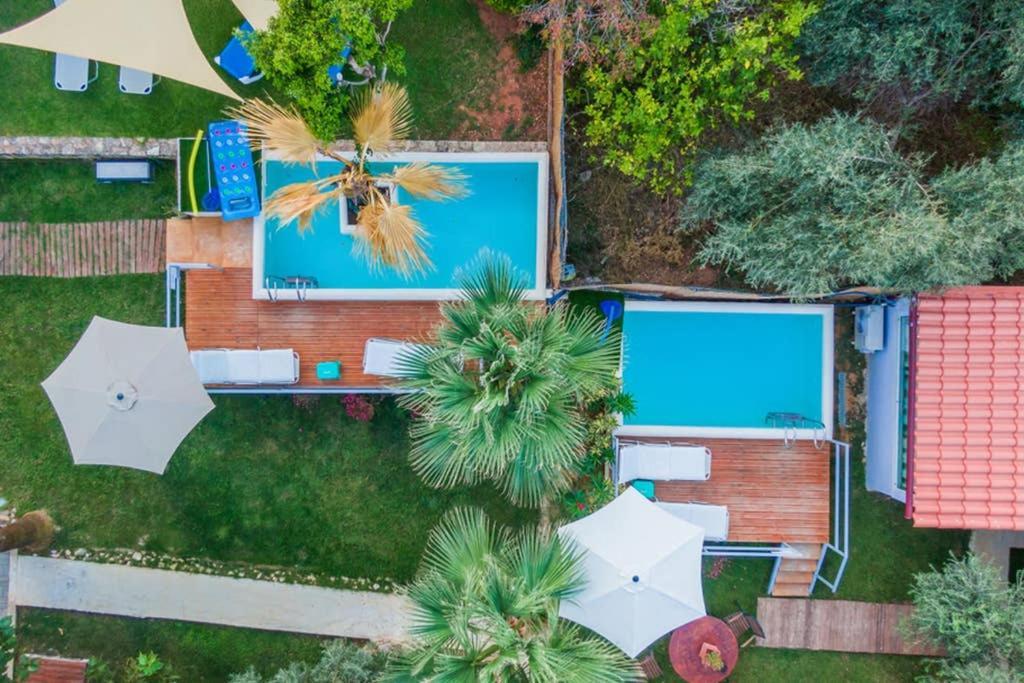 Green House 1 Sfakianalion Dış mekan fotoğraf